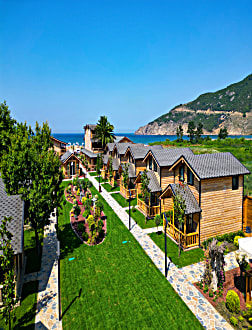 Genel